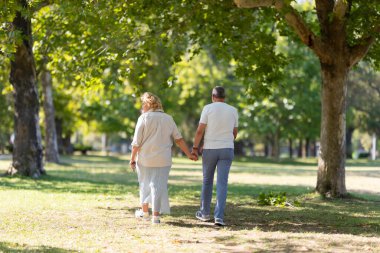 Olgun bir çift yeşil bir parkta el ele yürüyorlar, dışarıda gezinmenin tadını çıkarıyorlar.