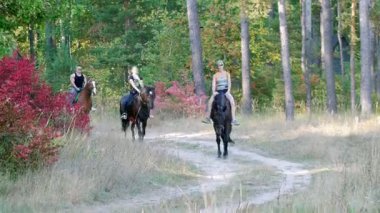İki genç çekici kızlar ve genç güçlü adam arabayla ormanda, yol boyunca sırtında kapat