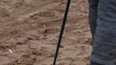 İki yaşlı kadın sonbahar Park modern sağlıklı eğitim - yürüyüşü, telefoto çekim var