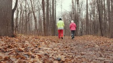 İki mutlu yaşlı kadın sonbahar Park eğitim var - sarı arasında Kuzey yürüyüşü bırakır, kaymak atış