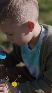 Genç çocuk sarı kır çiçeklerini güneşli bir çayırda büyüteçle inceliyor.