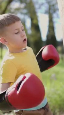 Çocuk boksör dışarıda antrenman yapıyor, boks eldivenleriyle ağaca vuruyor.