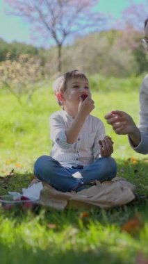 Mutlu anne ve oğul güneşli bir parkta neşeli bir piknik yaparken kirazlarını paylaşıyorlar.