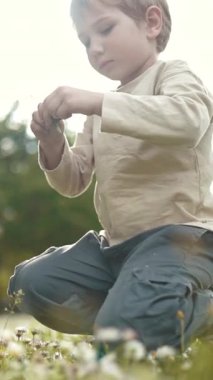 Peri eviyle tarlada çiçek toplayan genç bir çocuk.