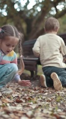 İki genç sonbahar yapraklarıyla oynayan park bankının yanında