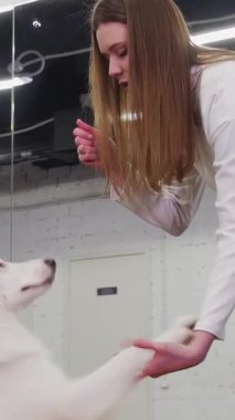 A woman commands to trained golden retriever to give her a paw and rewards the dog a treat. Mid shot