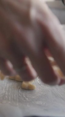 Kurabiye pişirmek - dişi eller, kabartma kağıdının üzerinde dinozor şeklinde çiğ hamurlar serer. yakın plan