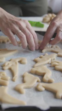 Kadın eli, kurabiye hamuru parçalarını fırın tepsisine dinozor şeklinde seriyor. yakın plan