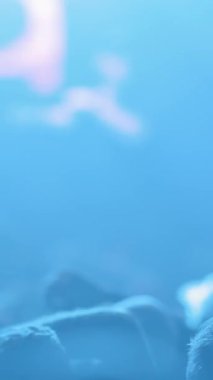 Rap konserindeki izleyiciler ellerini müziğe sallıyor. Orta çekim