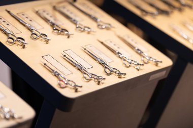 Bir kuaför dükkanında dikkatlice sunulan sayısız keskin berber makası.