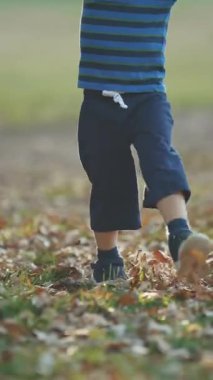 Parkta yürüyen ve yaprakları tekmeleyen bir çocuğun bacakları. Orta çekim