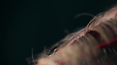 Bir güzellik salonunda müşterinin saç stili üzerinde çalışan profesyonel bir kuaför.