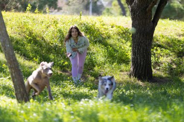 Güneşli bir parkta koşan iki evcil köpeğiyle dışarıda oyun oynayan bir kadın.