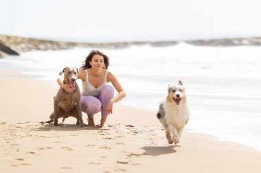 Kadın ve iki sadık köpek okyanus kıyısında neşeli bir günün tadını çıkarıyorlar.