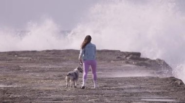 Avustralya çoban köpeğini taş bir iskelede gezdiren genç bir kadın.
