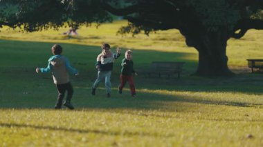 Güneşli bir günde yeşil çimlerde gülüp birbirlerini kovalayan enerjik üç genç çocuk.