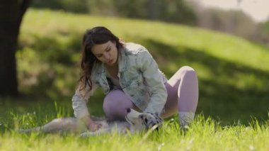 Güzel, genç bir kadın yeşil çimlerde dinlenen mutlu Avustralyalı çoban köpeğini okşuyor.