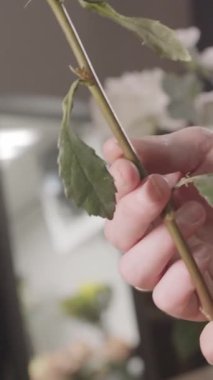 Elinde çiçek tutan bir insan.