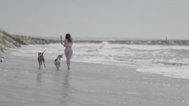 Denizde güneşli bir günde iki köpeğiyle kıyı boyunca yalınayak koşan genç bir kadın.