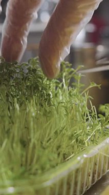 Plastik Konteynırdaki Kişi Kesme Tesisi - restoranda pişirme süreci - kapatın