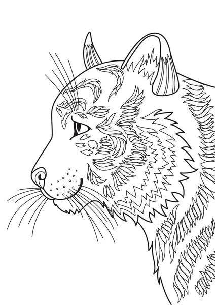 Tiger čmáranice omalovánky stránky. Dlsck a bílý obrys ilustrace — Stockový vektor