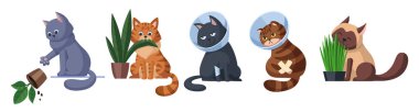 Farklı durumlardaki kediler. Kedi bitkiyi atar. Kedi bir bitki yiyor. Elizabeth dönemi tasmalarında iki kedi. Kedi filizlenmiş yulaf yer. Hayvan bakımı konsepti çizimi. Beyaz arkaplanda izole