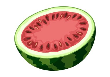 Yarım karpuz vektör çizimi. İkiye bölünmüş sulu karpuz. Yaz meyvesi.