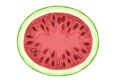 Karpuz yarı görünüm vektör çizimi. İkiye bölünmüş sulu yaz meyveleri. Beyaz arkaplanda izole.