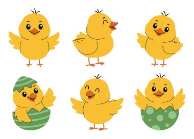 Tatlı Paskalya piliçleri seti. Yavrular Paskalya yumurtalarından çıkar ve kanatlarını çırparlar. Beyaz arkaplanda vektör koleksiyonu.