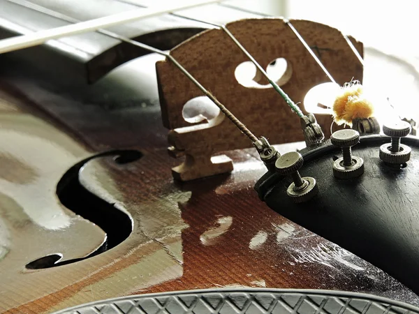 Geige, klassisches Musikinstrument — Stockfoto