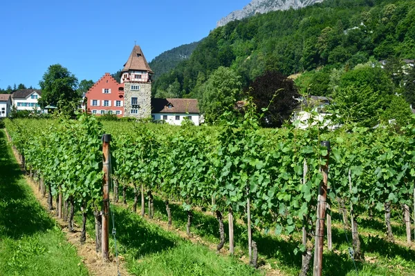 La Casa Roja en la zona de Mitteldorf de Vaduz . —  Fotos de Stock