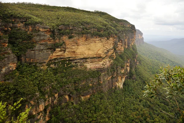 Scenery in the Blue Mountains, Australia. — Stock Photo, Image