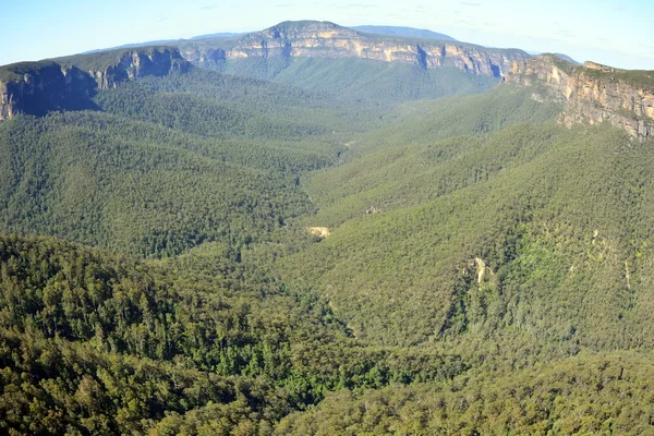 View from the Evans Lookout in the Blue Mountains, Australia. — Stock Photo, Image