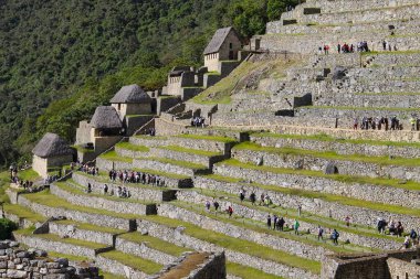 Aguas Calientes, Peru - 27 Mayıs 2025: Ziyaretçiler tarihi tarım terasları veya Andenler ve UNESCO Dünya Mirası Machu Picchu 'daki antik binaların kalıntıları arasında geziniyorlar.