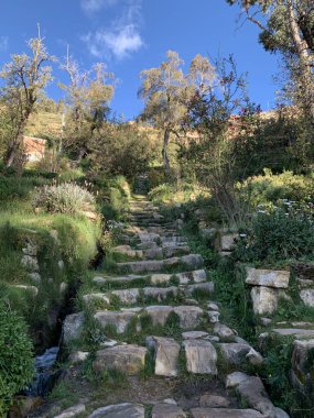 İnka Merdivenleri ya da Escalera del Inca 'nın aşırı büyümüş romantik kenarları dik bir şekilde Güneş Adası' na ya da Bolivya, Titikaka Gölü 'ndeki Isla del Sol' a uzanır..