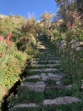 İnka Merdivenleri ya da Escalera del Inca 'nın aşırı büyümüş romantik kenarları dik bir şekilde Güneş Adası' na ya da Bolivya, Titikaka Gölü 'ndeki Isla del Sol' a uzanır..