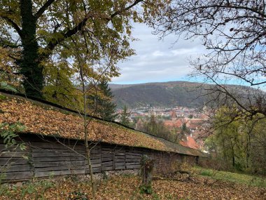 Sighisoara, Mures, Transilvanya, Romanya: Scara Acoperita veya Acholar 'ın merdivenlerinin kiremitli çatısı üzerine şehir merkezi manzarası, ortaçağ kalesine çıkan tarihi ahşap merdiven..