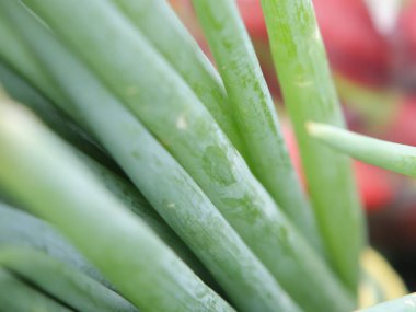 Bahçede taze taze soğan