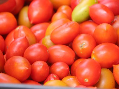 Beyaz arkaplanda kırmızı domatesleri kapat