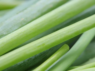 Taze taze soğanları kapatın.