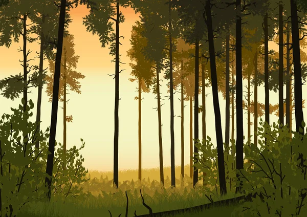 Illustration der Waldlandschaft — Stockvektor