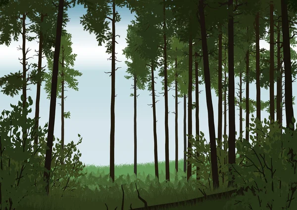 Illustration de paysage forestier — Image vectorielle