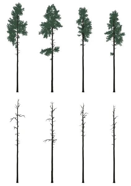 Pinetrees v plochých barev — Stockový vektor