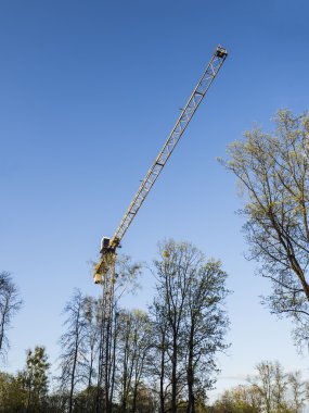 Sarı inşaat kule vinç ve mavi gökyüzü karşı yeşil ağaçlar.
