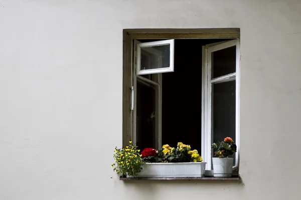 Offenes Fenster mit Blumen an der weißen Wand — Stockfoto