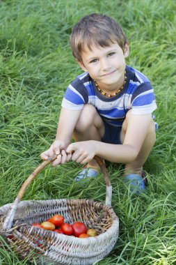 Yeşil çimenlerin üzerinde organik sebze sepeti tutan küçük bir çocuk. Açık havada. Taze hasat domates.