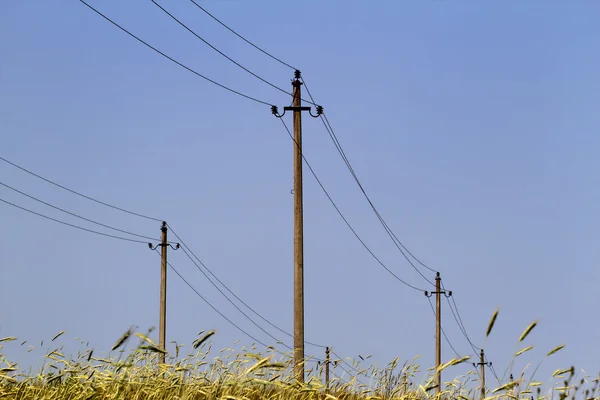 Postes y alambres eléctricos en el campo rural —  Fotos de Stock
