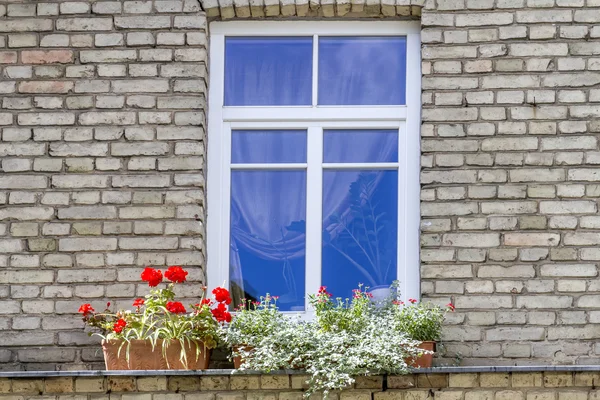 Alte Backsteinmauer mit Fenster und Blumen — Stockfoto