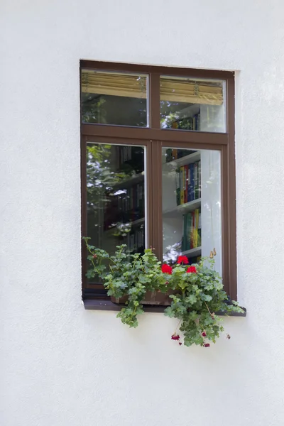 Modernes Fenster mit Blumentopf auf weißem Wandhintergrund. — Stockfoto