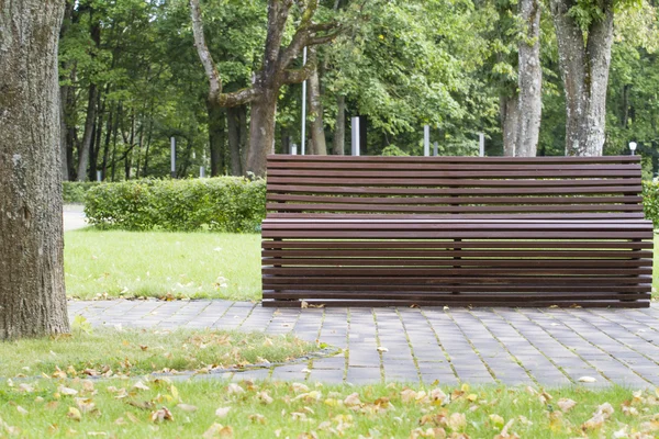 Modern curve shaped wooden bench under old and tall trees in the park as background image — Stock Photo, Image